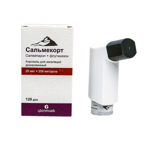 Сальмекорт аэрозоль для ингаляций дозированный 25мкг+250мкг/доза 120 доз 
