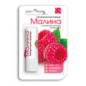 Помада губная гигиеническая Малина футляр 2,8г