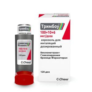 Тримбоу аэрозоль для ингаляций дозированный 100мкг+10мкг+6мкг/доза баллон со счетчиком доз 120доз