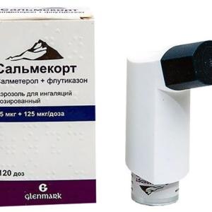 Сальмекорт аэрозоль для ингаляций дозированный 25мкг+125мкг/доза 120 доз 